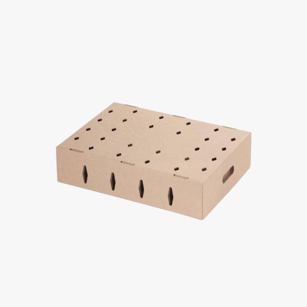 Chick Box